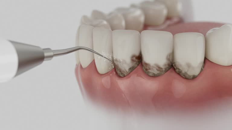 Reliable Dental contractor in Wauseon, OH by Dentist Open Now